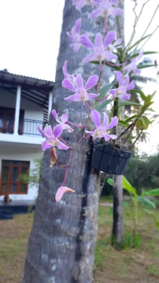 Mellow Villa Tangalle Buitenkant foto